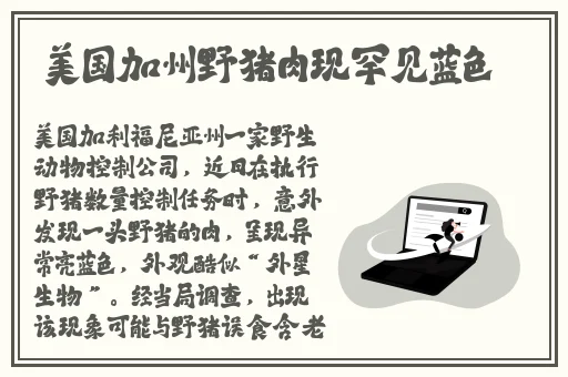蓝莓视频成品人app下载苹果